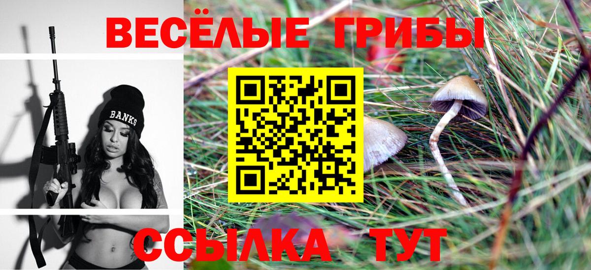 Орёл  Псилоцибиновые грибы ЛСД  Вход с VPN 