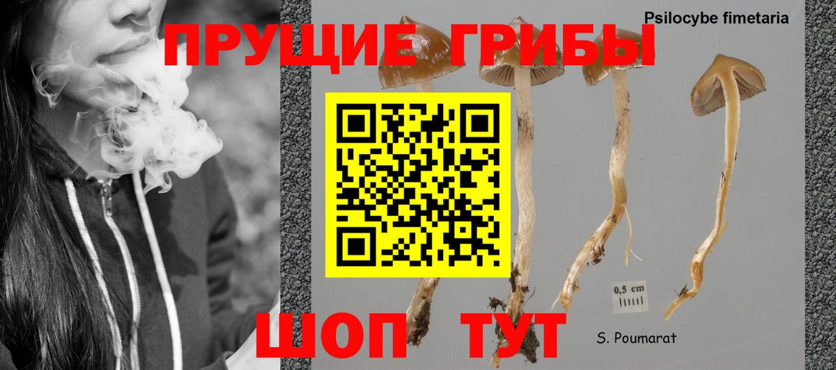 Галлюциногенные грибы мицелий Орёл