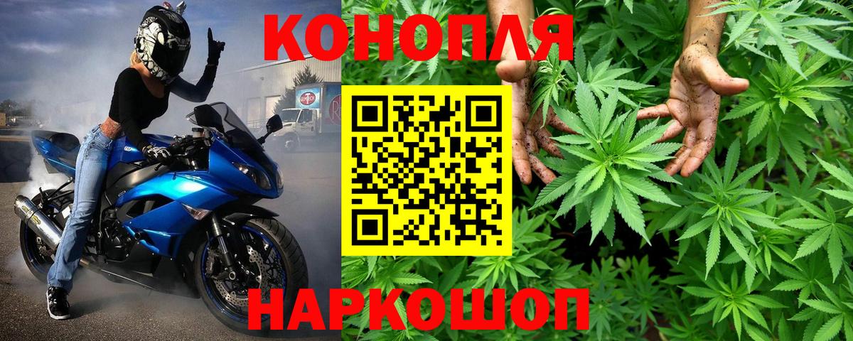 Марихуана сатива Орёл